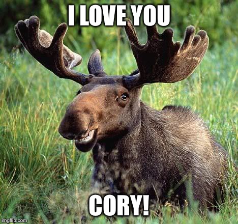 Smiling moose | I LOVE YOU; CORY! | image tagged in smiling moose | made w/ Imgflip meme maker