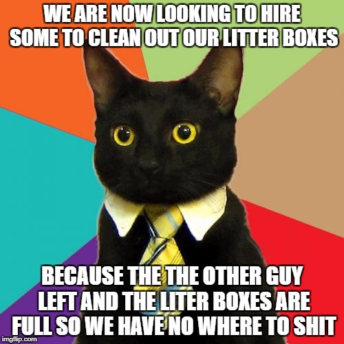 Business Cat | WE ARE NOW LOOKING TO HIRE SOME TO CLEAN OUT OUR LITTER BOXES; BECAUSE THE THE OTHER GUY LEFT AND THE LITER BOXES ARE FULL SO WE HAVE NO WHERE TO SHIT | image tagged in memes,business cat | made w/ Imgflip meme maker