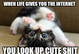the meaning of life  | WHEN LIFE GIVES YOU THE INTERNET; YOU LOOK UP CUTE SHIT | image tagged in love | made w/ Imgflip meme maker