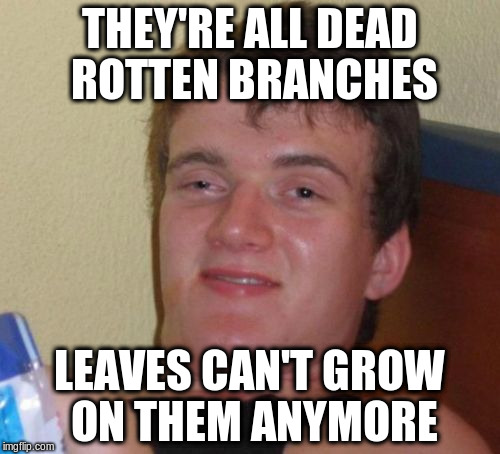 10 Guy Meme | THEY'RE ALL DEAD ROTTEN BRANCHES LEAVES CAN'T GROW ON THEM ANYMORE | image tagged in memes,10 guy | made w/ Imgflip meme maker