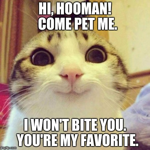Hi, Hooman | HI, HOOMAN!  COME PET ME. I WON'T BITE YOU.  YOU'RE MY FAVORITE. | image tagged in memes,smiling cat,cat memes | made w/ Imgflip meme maker