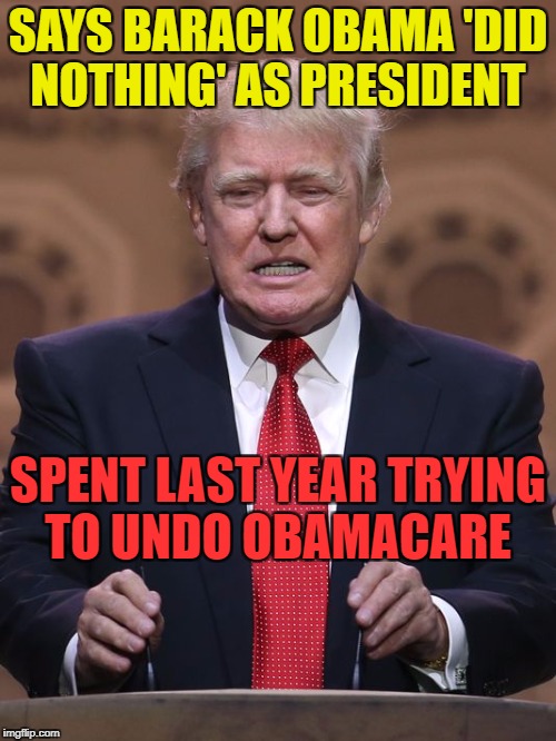 Donald Trump | SAYS BARACK OBAMA 'DID NOTHING' AS PRESIDENT; SPENT LAST YEAR TRYING TO UNDO OBAMACARE | image tagged in donald trump | made w/ Imgflip meme maker