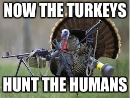 NOW THE TURKEYS; HUNT THE HUMANS | image tagged in turkey,gun | made w/ Imgflip meme maker