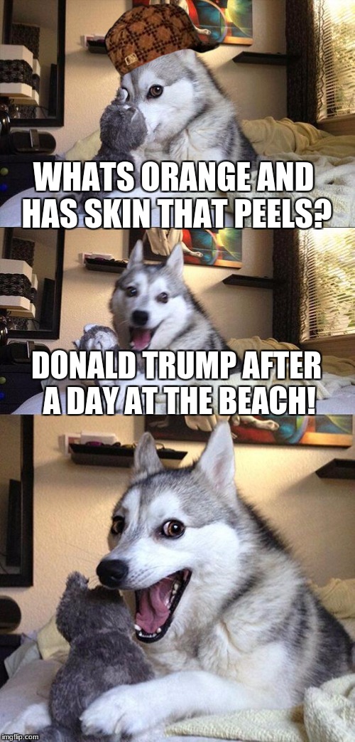 Bad Pun Dog | WHATS ORANGE AND HAS SKIN THAT PEELS? DONALD TRUMP AFTER A DAY AT THE BEACH! | image tagged in memes,bad pun dog,scumbag | made w/ Imgflip meme maker