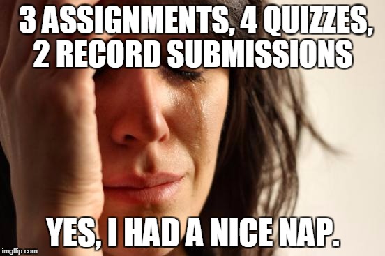 First World Problems | 3 ASSIGNMENTS, 4 QUIZZES, 2 RECORD SUBMISSIONS; YES, I HAD A NICE NAP. | image tagged in memes,first world problems | made w/ Imgflip meme maker