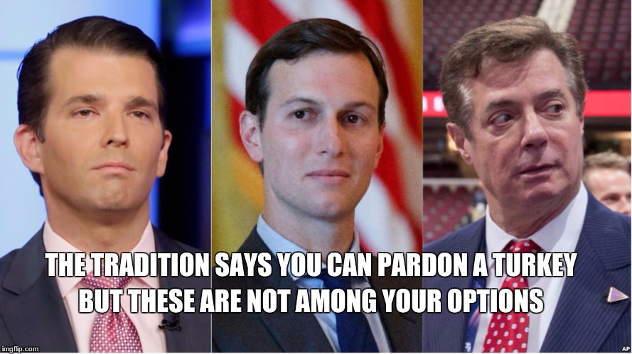 pardon a turkey | THE TRADITION SAYS YOU CAN PARDON A TURKEY; BUT THESE ARE NOT AMONG YOUR OPTIONS | image tagged in memes | made w/ Imgflip meme maker