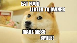 EAT FOOD                                      LISTEN TO OWNER; MAKE MESS                             SMILE! | image tagged in funny memes | made w/ Imgflip meme maker
