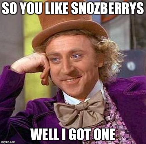Creepy Condescending Wonka Meme | SO YOU LIKE SNOZBERRYS; WELL I GOT ONE | image tagged in memes,creepy condescending wonka | made w/ Imgflip meme maker