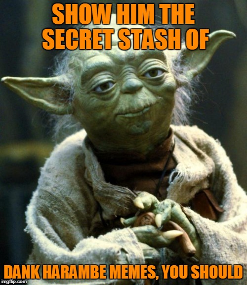 Star Wars Yoda Meme | SHOW HIM THE SECRET STASH OF DANK HARAMBE MEMES, YOU SHOULD | image tagged in memes,star wars yoda | made w/ Imgflip meme maker