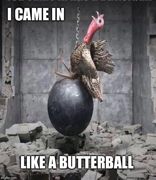 Happy Thanksgiving Y'all! | I CAME IN; LIKE A BUTTERBALL | image tagged in thanksgiving,butterball,turkey,wrecking ball | made w/ Imgflip meme maker