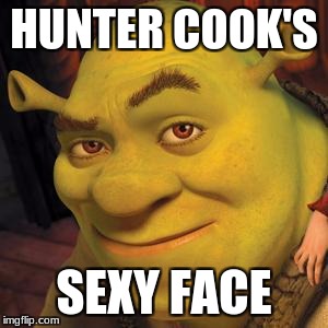 Shrek Sexy Face | HUNTER COOK'S; SEXY FACE | image tagged in shrek sexy face | made w/ Imgflip meme maker