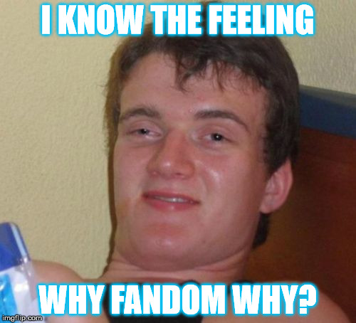 10 Guy Meme | I KNOW THE FEELING WHY FANDOM WHY? | image tagged in memes,10 guy | made w/ Imgflip meme maker