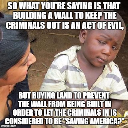 Third World Skeptical Kid Meme | SO WHAT YOU'RE SAYING IS THAT BUILDING A WALL TO KEEP THE CRIMINALS OUT IS AN ACT OF EVIL, BUT BUYING LAND TO PREVENT THE WALL FROM BEING BUILT IN ORDER TO LET THE CRIMINALS IN IS CONSIDERED TO BE "SAVING AMERICA?" | image tagged in memes,third world skeptical kid | made w/ Imgflip meme maker