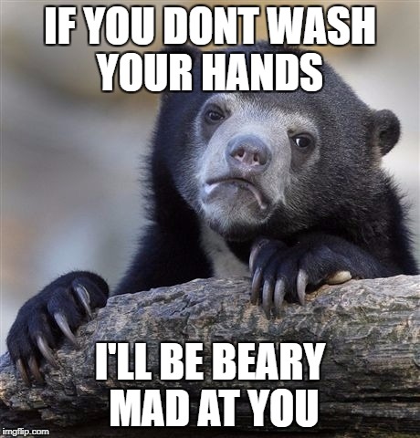 Confession Bear | IF YOU DONT WASH YOUR HANDS; I'LL BE BEARY MAD AT YOU | image tagged in memes,confession bear | made w/ Imgflip meme maker