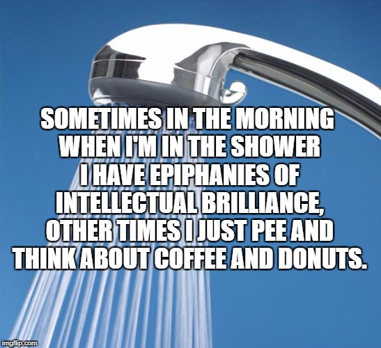 Shower | SOMETIMES IN THE MORNING WHEN I'M IN THE SHOWER I HAVE EPIPHANIES OF INTELLECTUAL BRILLIANCE, OTHER TIMES I JUST PEE AND THINK ABOUT COFFEE AND DONUTS. | image tagged in shower,morning,memes,funny,coffee,donuts | made w/ Imgflip meme maker