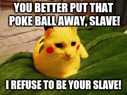 Put It Away | YOU BETTER PUT THAT POKE BALL AWAY, SLAVE! I REFUSE TO BE YOUR SLAVE! | image tagged in lazy pikacat,cat meme,memes | made w/ Imgflip meme maker