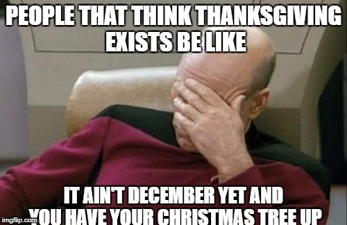 Captain Picard Facepalm | PEOPLE THAT THINK THANKSGIVING EXISTS BE LIKE; IT AIN'T DECEMBER YET AND YOU HAVE YOUR CHRISTMAS TREE UP | image tagged in memes,captain picard facepalm | made w/ Imgflip meme maker