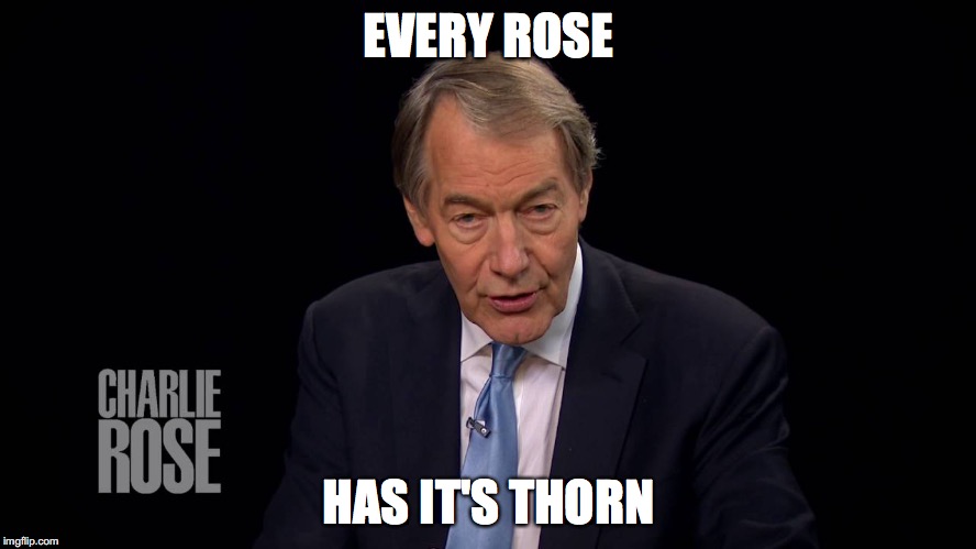 Charlie Rose | EVERY ROSE; HAS IT'S THORN | image tagged in charlie rose | made w/ Imgflip meme maker