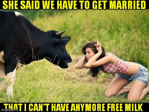 Things just got serious,,, | SHE SAID WE HAVE TO GET MARRIED; THAT I CAN'T HAVE ANYMORE FREE MILK | image tagged in cow,free stuff,milk | made w/ Imgflip meme maker
