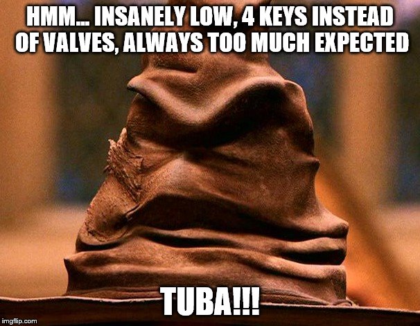 Sorting Hat | HMM... INSANELY LOW, 4 KEYS INSTEAD OF VALVES, ALWAYS TOO MUCH EXPECTED; TUBA!!! | image tagged in sorting hat | made w/ Imgflip meme maker