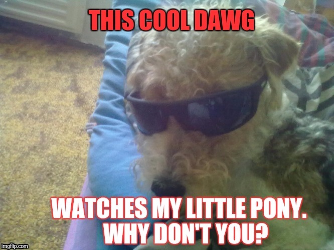 Go watch some ponies | . | image tagged in my little pony,dog,cool | made w/ Imgflip meme maker