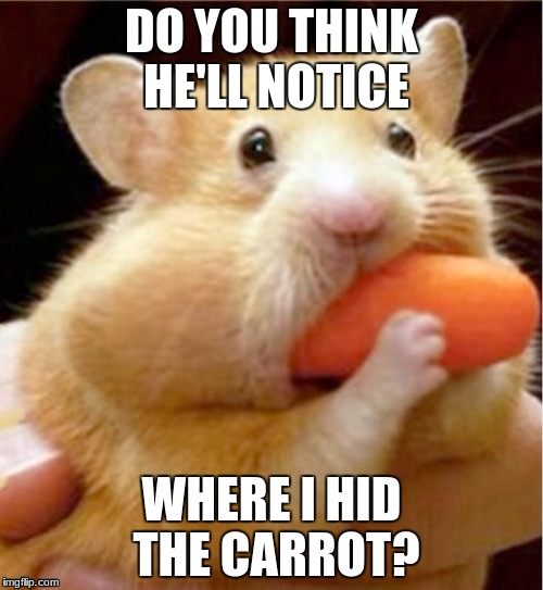 Carrot hamster | DO YOU THINK HE'LL NOTICE; WHERE I HID THE CARROT? | image tagged in carrot hamster | made w/ Imgflip meme maker