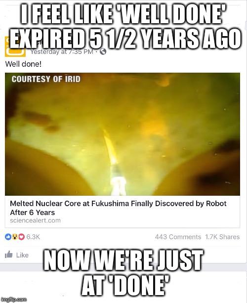 I FEEL LIKE 'WELL DONE' EXPIRED 5 1/2 YEARS AGO; NOW WE'RE JUST AT 'DONE' | image tagged in nuclear accident | made w/ Imgflip meme maker