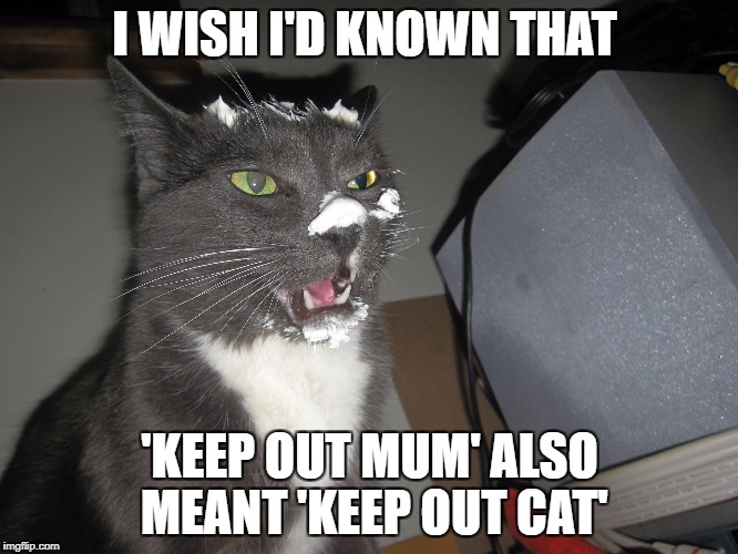 the cat that got the cream | I WISH I'D KNOWN THAT; 'KEEP OUT MUM' ALSO MEANT 'KEEP OUT CAT' | image tagged in funny cat memes | made w/ Imgflip meme maker