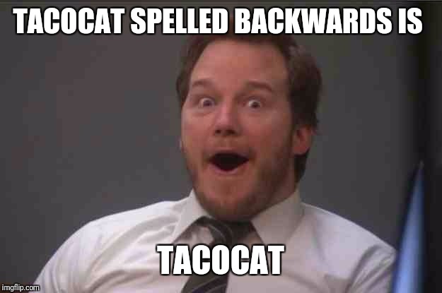 *Illuminati confirmed music plays in the background* | TACOCAT SPELLED BACKWARDS IS; TACOCAT | image tagged in that face you make when you realize star wars 7 is one week away | made w/ Imgflip meme maker