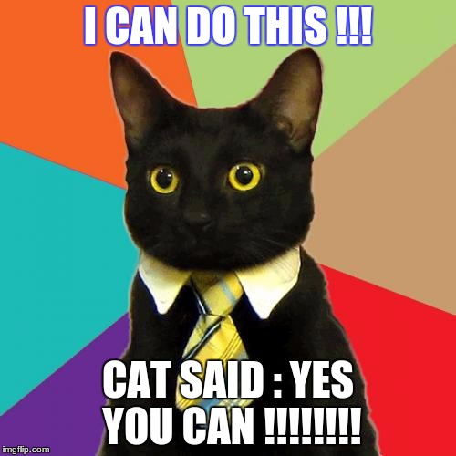 Business Cat | I CAN DO THIS !!! CAT SAID : YES YOU CAN !!!!!!!! | image tagged in memes,business cat | made w/ Imgflip meme maker
