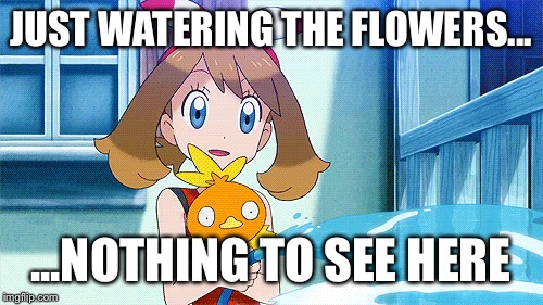 JUST WATERING THE FLOWERS... ...NOTHING TO SEE HERE | image tagged in water | made w/ Imgflip meme maker