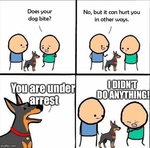 does your dog bite | I DIDN'T DO ANYTHING! You are under arrest | image tagged in does your dog bite | made w/ Imgflip meme maker