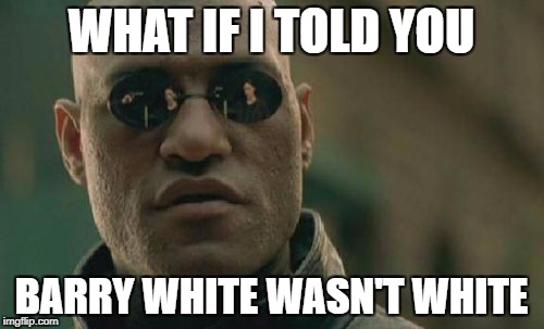 Matrix Morpheus Meme | WHAT IF I TOLD YOU BARRY WHITE WASN'T WHITE | image tagged in memes,matrix morpheus | made w/ Imgflip meme maker