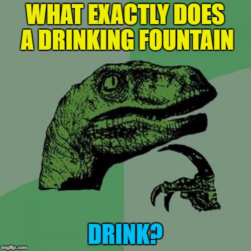 Philosoraptor Meme | WHAT EXACTLY DOES A DRINKING FOUNTAIN DRINK? | image tagged in memes,philosoraptor | made w/ Imgflip meme maker