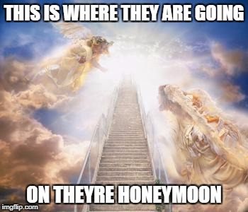 THIS IS WHERE THEY ARE GOING ON THEYRE HONEYMOON | made w/ Imgflip meme maker