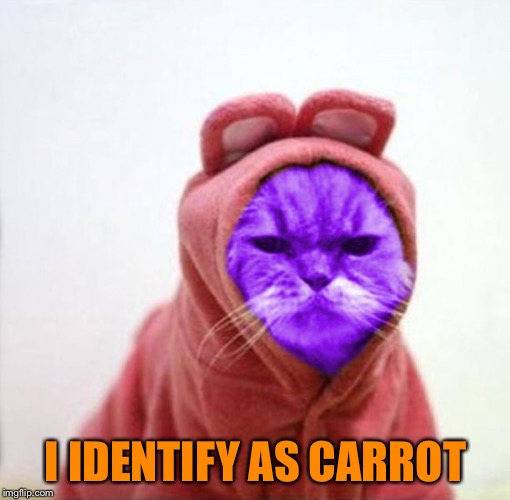 Sullen RayCat | I IDENTIFY AS CARROT | image tagged in sullen raycat | made w/ Imgflip meme maker
