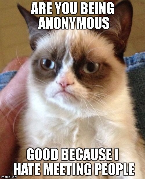 Anonymous week | ARE YOU BEING ANONYMOUS; GOOD BECAUSE I HATE MEETING PEOPLE | image tagged in memes,grumpy cat,anonymous meme week,funny | made w/ Imgflip meme maker