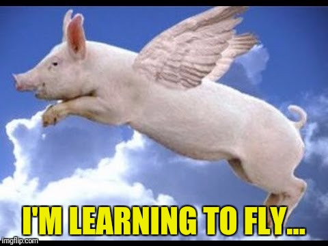 I'M LEARNING TO FLY... | made w/ Imgflip meme maker