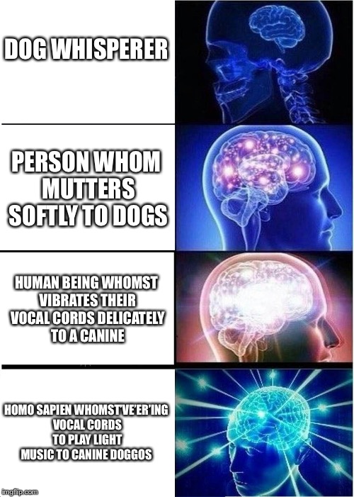 Expanding Brain Meme | DOG WHISPERER; PERSON WHOM MUTTERS SOFTLY TO DOGS; HUMAN BEING WHOMST VIBRATES THEIR VOCAL CORDS DELICATELY TO A CANINE; HOMO SAPIEN WHOMST’VE’ER’ING VOCAL CORDS TO PLAY LIGHT MUSIC TO CANINE DOGGOS | image tagged in memes,expanding brain | made w/ Imgflip meme maker