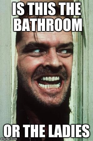 Here's Johnny | IS THIS THE BATHROOM; OR THE LADIES | image tagged in memes,heres johnny | made w/ Imgflip meme maker