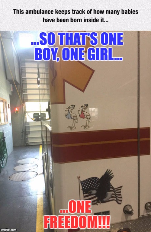 Storks deliver babies...Eagles deliver legends | ...SO THAT'S ONE BOY, ONE GIRL... ...ONE FREEDOM!!! | image tagged in ambulance,freedom,america,eagle,stork,babies | made w/ Imgflip meme maker