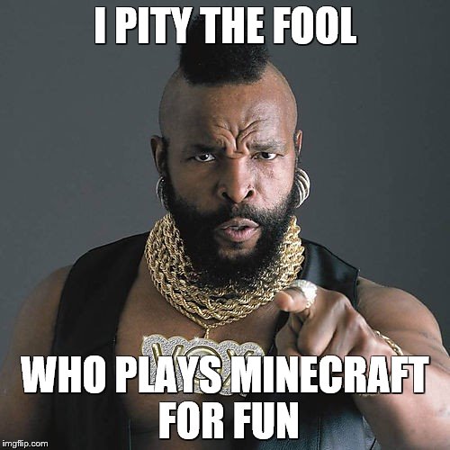 Mr T Pity The Fool | I PITY THE FOOL; WHO PLAYS MINECRAFT FOR FUN | image tagged in memes,mr t pity the fool | made w/ Imgflip meme maker