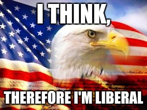 American Flag | I THINK, THEREFORE I'M LIBERAL | image tagged in american flag | made w/ Imgflip meme maker
