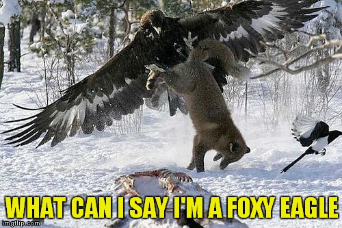 WHAT CAN I SAY I'M A FOXY EAGLE | made w/ Imgflip meme maker