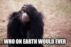 WHO ON EARTH WOULD EVER | made w/ Imgflip meme maker