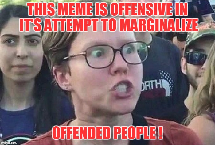 THIS MEME IS OFFENSIVE IN IT'S ATTEMPT TO MARGINALIZE OFFENDED PEOPLE ! | made w/ Imgflip meme maker