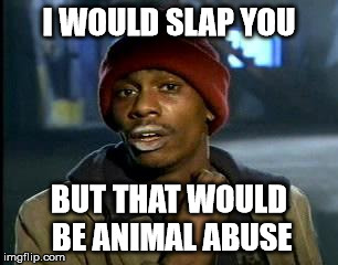 Y'all Got Any More Of That | I WOULD SLAP YOU; BUT THAT WOULD BE ANIMAL ABUSE | image tagged in memes,yall got any more of | made w/ Imgflip meme maker