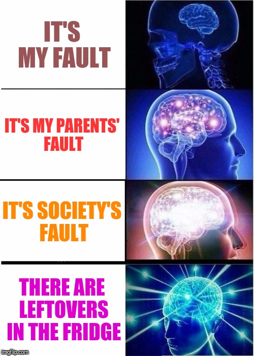 How to make yourself feel better | IT'S MY FAULT; IT'S MY PARENTS' FAULT; IT'S SOCIETY'S FAULT; THERE ARE LEFTOVERS IN THE FRIDGE | image tagged in memes,expanding brain | made w/ Imgflip meme maker