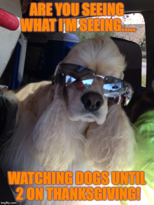 Dogs Until 2 On Thanksgiving  | ARE YOU SEEING WHAT I’M SEEING..... WATCHING DOGS UNTIL 2 ON THANKSGIVING! | image tagged in dogs | made w/ Imgflip meme maker