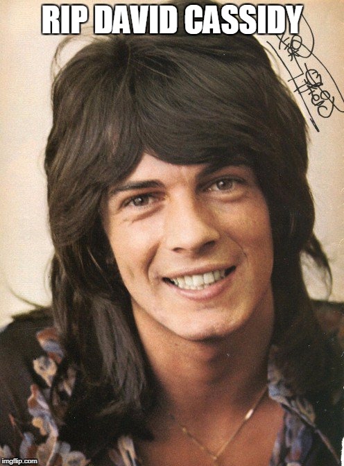 Funny | RIP DAVID CASSIDY | image tagged in sarcasm | made w/ Imgflip meme maker
